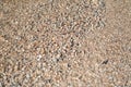 Thousands small seashells on sand beach, top view. Shell beach background for a post, screensaver, wallpaper, postcard