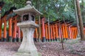 Thousands of Torii create path at Fushimi Inari Taisha Shinto Sh