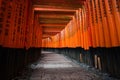 Thousands of torii gates at Fushimi Inari Shrine in Kyoto, Japan Royalty Free Stock Photo
