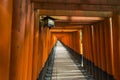 Thousands of torii gates, Fushimi Inari Shrine, Kyoto, Japan Royalty Free Stock Photo