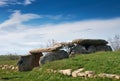 Thracian dolmen near Edirne, Turkey Royalty Free Stock Photo