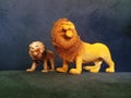 Thre two lions is walking