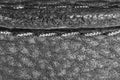 Thread seam on black leather material as background Royalty Free Stock Photo