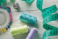 Threads colored and needle reel all for sewing Royalty Free Stock Photo