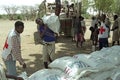 Threatening famine at Afar by climate change Royalty Free Stock Photo