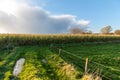 Late Afternoon Illumination in Flanders Royalty Free Stock Photo