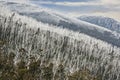 Thredbo after the bush fire, regrowth Royalty Free Stock Photo