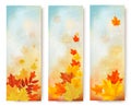 Three abstract autumn banners with color leaves. Royalty Free Stock Photo