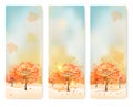 Three abstract autumn banners with color leaves. Royalty Free Stock Photo