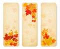 Three abstract autumn banners with color leaves. Royalty Free Stock Photo