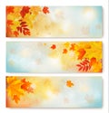 Three abstract autumn banners with color leaves. Royalty Free Stock Photo