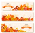 Three abstract autumn banners with colorful leaves. Royalty Free Stock Photo