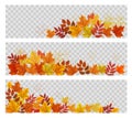 Three abstract autumn banners with colorful leaves. Royalty Free Stock Photo