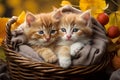 Three adorable kittens cuddling in a basket