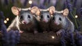 Adorable Trio of Baby Opossums on a Log in Lavender Field at Night Royalty Free Stock Photo