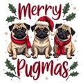 Three adorable pugs with the playful text Merry Pugmas Royalty Free Stock Photo