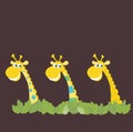 Three african safari giraffes Royalty Free Stock Photo