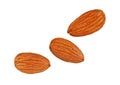 Three almond nuts on a white background