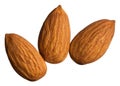 Three almonds isolated on white