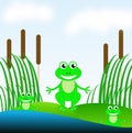 Three amusing green frogs on a green grass in a pond