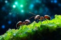 Three ants are standing on green leaf in the dark. Generative AI Royalty Free Stock Photo