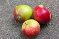 Three apples on asphalt Royalty Free Stock Photo