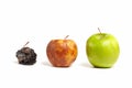 Three apples: fresh, rotting and dead Royalty Free Stock Photo