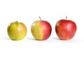 Three Apples From Green to Red Royalty Free Stock Photo