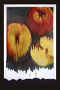 Three apples, mixed media art