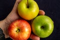 Three apples, one green and two red and yellow in the hand Royalty Free Stock Photo