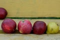 Three apples and one pear on a bench Royalty Free Stock Photo