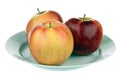 Three apples Royalty Free Stock Photo