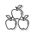 three apples. Vector illustration decorative design