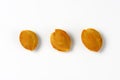 Three apricot stones Royalty Free Stock Photo