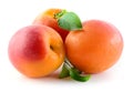 Three Apricots isolated on white background Royalty Free Stock Photo