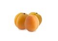 Three apricots isolated on white background. Royalty Free Stock Photo