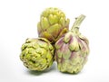 Three artichoke isolated on white background.