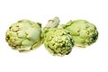 Three artichokes isolated on white Royalty Free Stock Photo