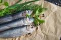 Three Atlantic herrings on craft paper.