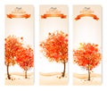 Three autumn abstract banners with colorful leaves and trees. Royalty Free Stock Photo