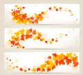 Three autumn banners with colorful leaves