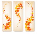 Three autumn banners with colorful leaves Royalty Free Stock Photo
