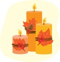 Three autumn handmade candles with maple leaves, pitch pine tree cones and berries flat vector cartoon illustration