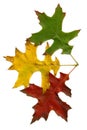 Three autumn leaves Royalty Free Stock Photo