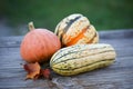 Three Autumn Squash on a Rustic Wood Table