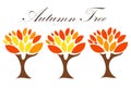 Three autumn trees