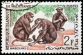 Three Baboons Stamp