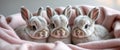 Three baby bunnies snuggled in a pink blanket. Royalty Free Stock Photo