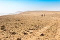 Three backpackers hiking trail, Negev desert, Israel.