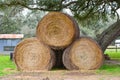 Three bales of hay in a farm. Summer day in Texas with hay, dry horse-food on a green grass under a tree